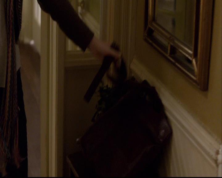 VampireDiariesWorld-dot-org_2x08Rose0965.jpg