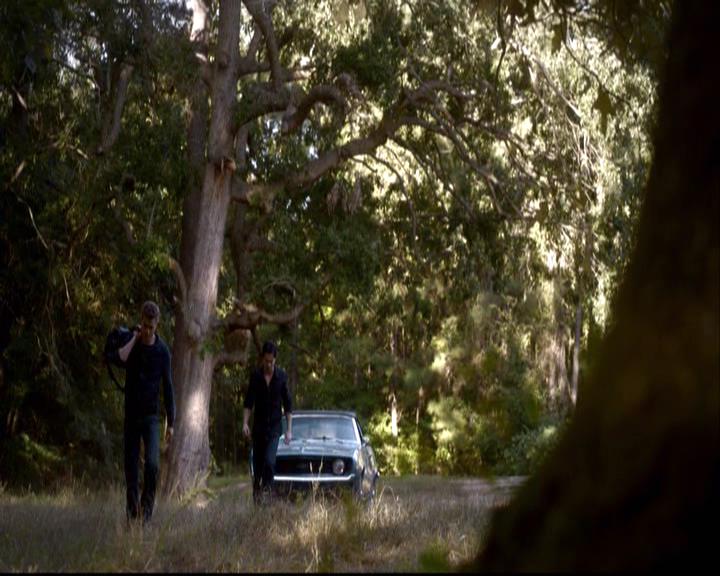 VampireDiariesWorld-dot-org_2x08Rose1513.jpg VampireDiariesWorld-dot-org_2x08Rose1513.jpg