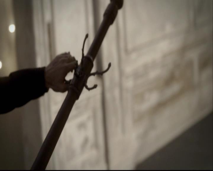 VampireDiariesWorld-dot-org_2x08Rose1688.jpg