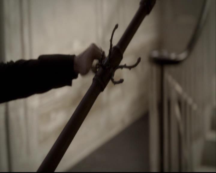VampireDiariesWorld-dot-org_2x08Rose1689.jpg
