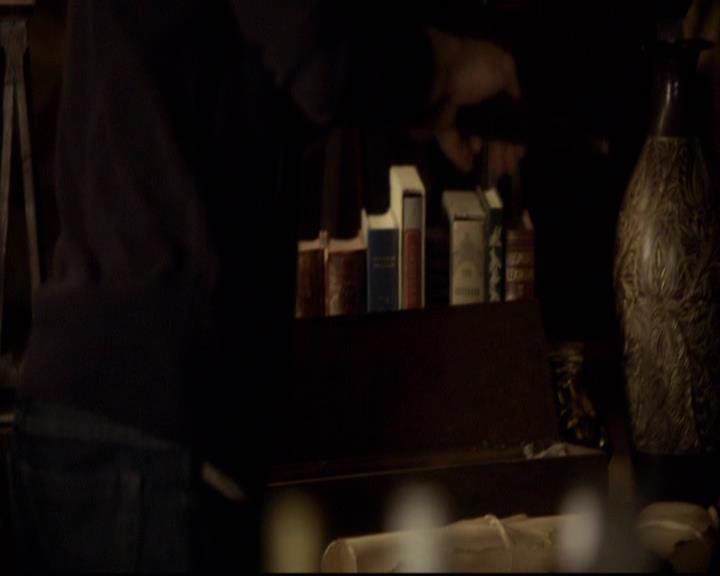 VampireDiariesWorld-dot-org_2x08Rose2064.jpg