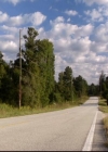 VampireDiariesWorld-dot-org_2x08Rose0000.jpg