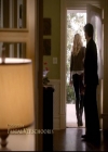 VampireDiariesWorld-dot-org_2x08Rose0206.jpg