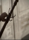 VampireDiariesWorld-dot-org_2x08Rose1688.jpg