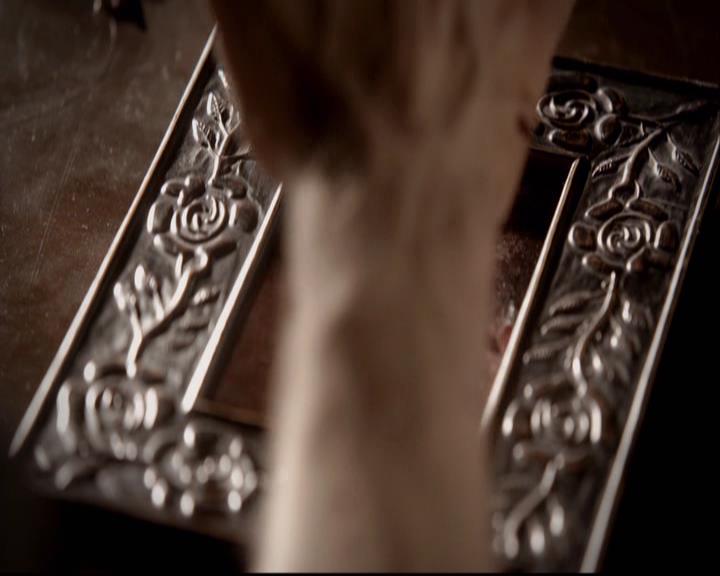 VampireDiariesWorld-dot-org_2x10TheSacrifce1353.jpg
