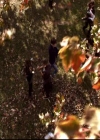 VampireDiariesWorld-dot-org_2x10TheSacrifce0380.jpg
