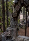 VampireDiariesWorld-dot-org_2x10TheSacrifce1283.jpg