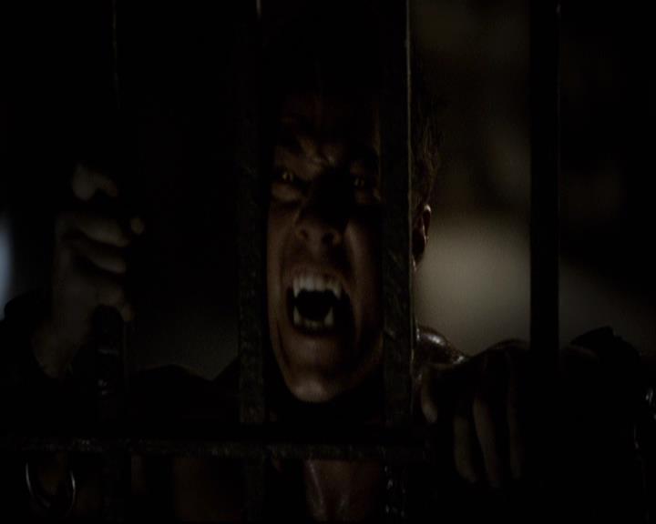 VampireDiariesWorld-dot-org_2x11ByTheLightOfTheMoon1602.jpg