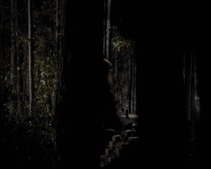 VampireDiariesWorld-dot-org_2x11ByTheLightOfTheMoon1682.jpg