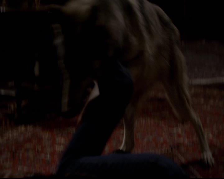 VampireDiariesWorld-dot-org_2x11ByTheLightOfTheMoon1757.jpg