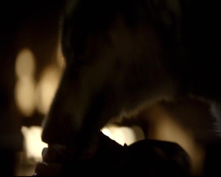 VampireDiariesWorld-dot-org_2x11ByTheLightOfTheMoon1758.jpg