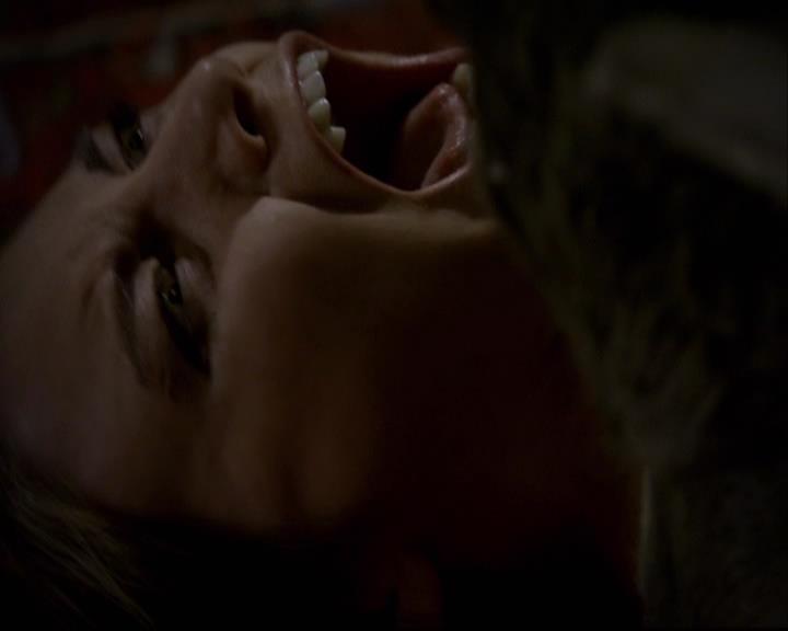 VampireDiariesWorld-dot-org_2x11ByTheLightOfTheMoon1762.jpg
