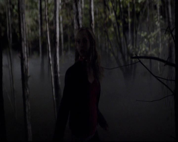 VampireDiariesWorld-dot-org_2x11ByTheLightOfTheMoon2034.jpg