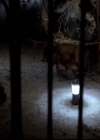 VampireDiariesWorld-dot-org_2x11ByTheLightOfTheMoon1576.jpg