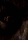 VampireDiariesWorld-dot-org_2x11ByTheLightOfTheMoon1651.jpg