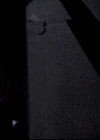 VampireDiariesWorld-dot-org_2x11ByTheLightOfTheMoon1671.jpg