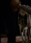 VampireDiariesWorld-dot-org_2x11ByTheLightOfTheMoon1754.jpg