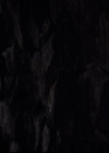 VampireDiariesWorld-dot-org_2x11ByTheLightOfTheMoon1933.jpg