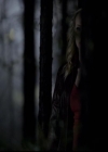 VampireDiariesWorld-dot-org_2x11ByTheLightOfTheMoon2038.jpg