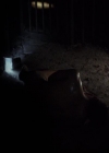 VampireDiariesWorld-dot-org_2x11ByTheLightOfTheMoon2087.jpg