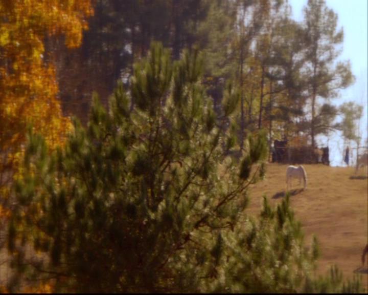 VampireDiariesWorld-dot-org_2x12TheDecent1678.jpg VampireDiariesWorld-dot-org_2x12TheDecent1678.jpg