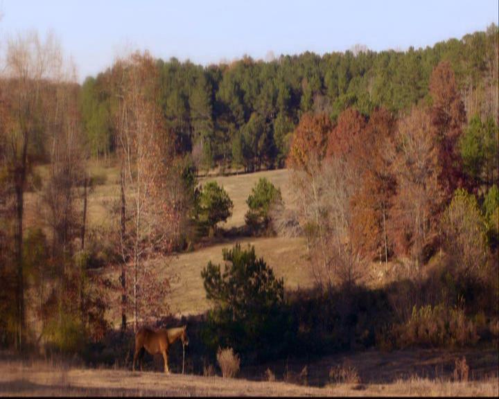 VampireDiariesWorld-dot-org_2x12TheDecent1691.jpg