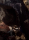 VampireDiariesWorld-dot-org_2x12TheDecent0035.jpg