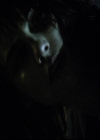 VampireDiariesWorld-dot-org_2x12TheDecent1304.jpg