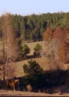 VampireDiariesWorld-dot-org_2x12TheDecent1691.jpg