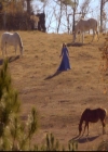 VampireDiariesWorld-dot-org_2x12TheDecent1701.jpg