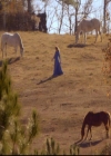 VampireDiariesWorld-dot-org_2x12TheDecent1702.jpg
