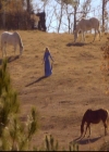 VampireDiariesWorld-dot-org_2x12TheDecent1703.jpg