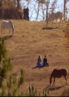 VampireDiariesWorld-dot-org_2x12TheDecent1711.jpg