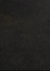 VampireDiariesWorld-dot-org_2x12TheDecent2137.jpg