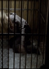VampireDiariesWorld-dot-org_2x13DaddyIssues1045.jpg