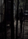 VampireDiariesWorld-dot-org_2x13DaddyIssues1289.jpg