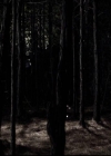 VampireDiariesWorld-dot-org_2x13DaddyIssues1294.jpg