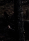 VampireDiariesWorld-dot-org_2x13DaddyIssues1443.jpg