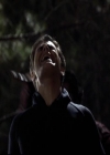 VampireDiariesWorld-dot-org_2x13DaddyIssues1451.jpg