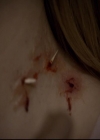 VampireDiariesWorld-dot-org_2x13DaddyIssues1699.jpg