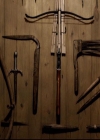 VampireDiariesWorld-dot-org_2x14CryingWolf0991.jpg