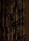 VampireDiariesWorld-dot-org_2x14CryingWolf1008.jpg