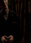 VampireDiariesWorld-dot-org_2x14CryingWolf1352.jpg