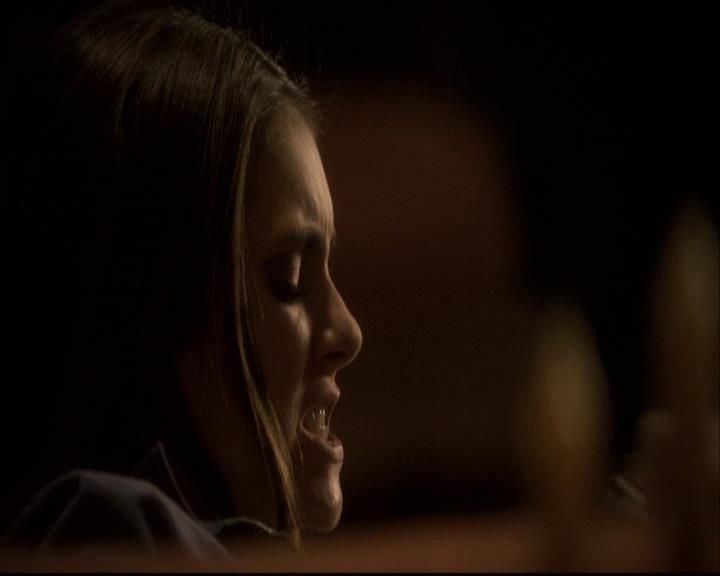 VampireDiariesWorld-dot-org_2x16TheHouseGuest1316.jpg