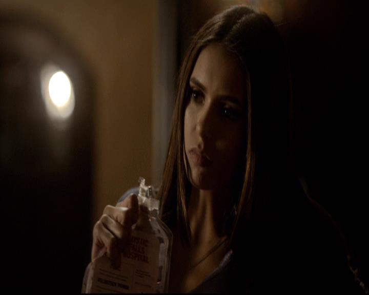 VampireDiariesWorld-dot-org_2x16TheHouseGuest1473.jpg