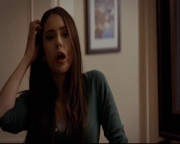 VampireDiariesWorld-dot-org_2x16TheHouseGuest1740.jpg