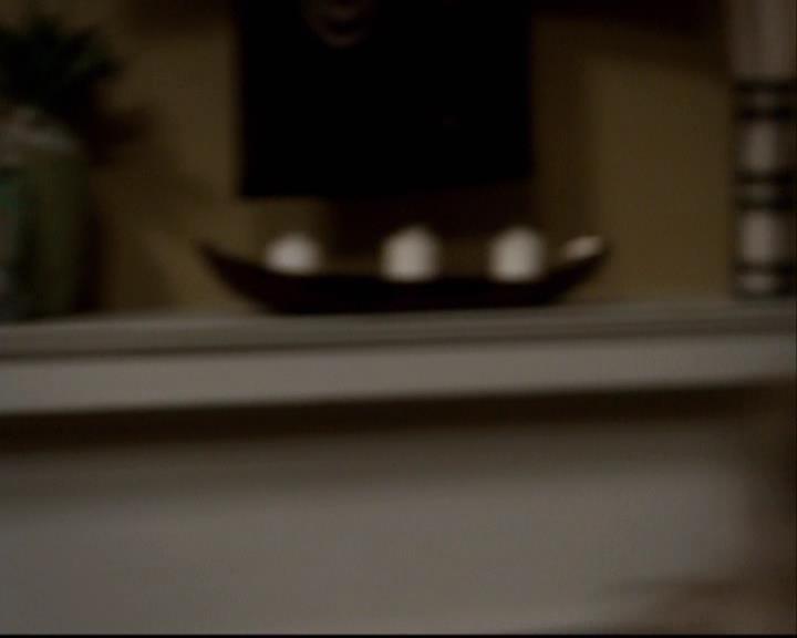 VampireDiariesWorld-dot-org_2x16TheHouseGuest2124.jpg