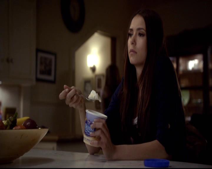 VampireDiariesWorld-dot-org_2x16TheHouseGuest2155.jpg