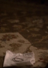 VampireDiariesWorld-dot-org_2x16TheHouseGuest1289.jpg
