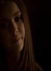 VampireDiariesWorld-dot-org_2x16TheHouseGuest1345.jpg